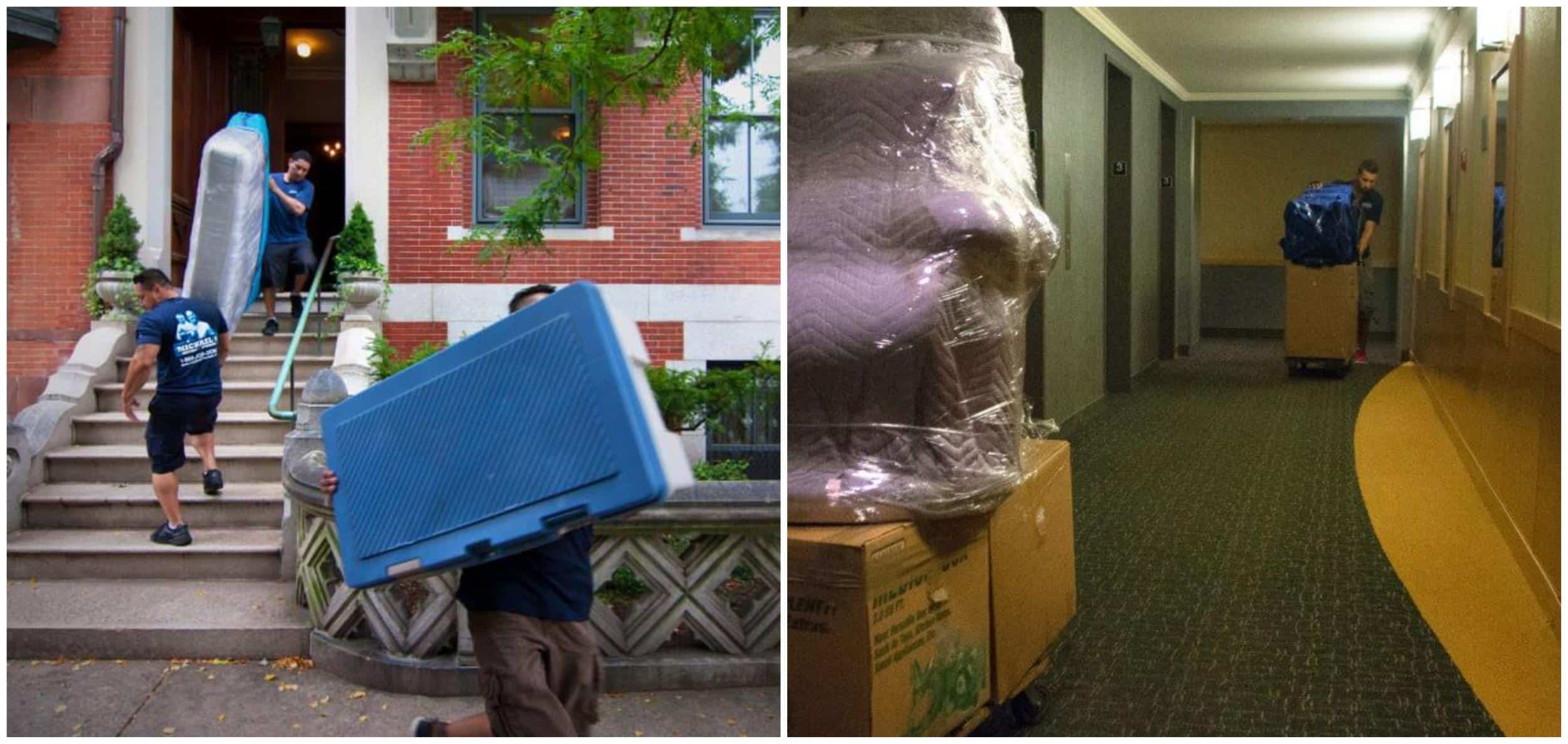 Local Apartment Movers serving Elmwood, MA Fast and Efficient Apartment Movers in Elmwood, MA